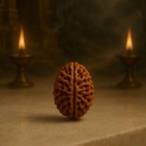 Rudraksha